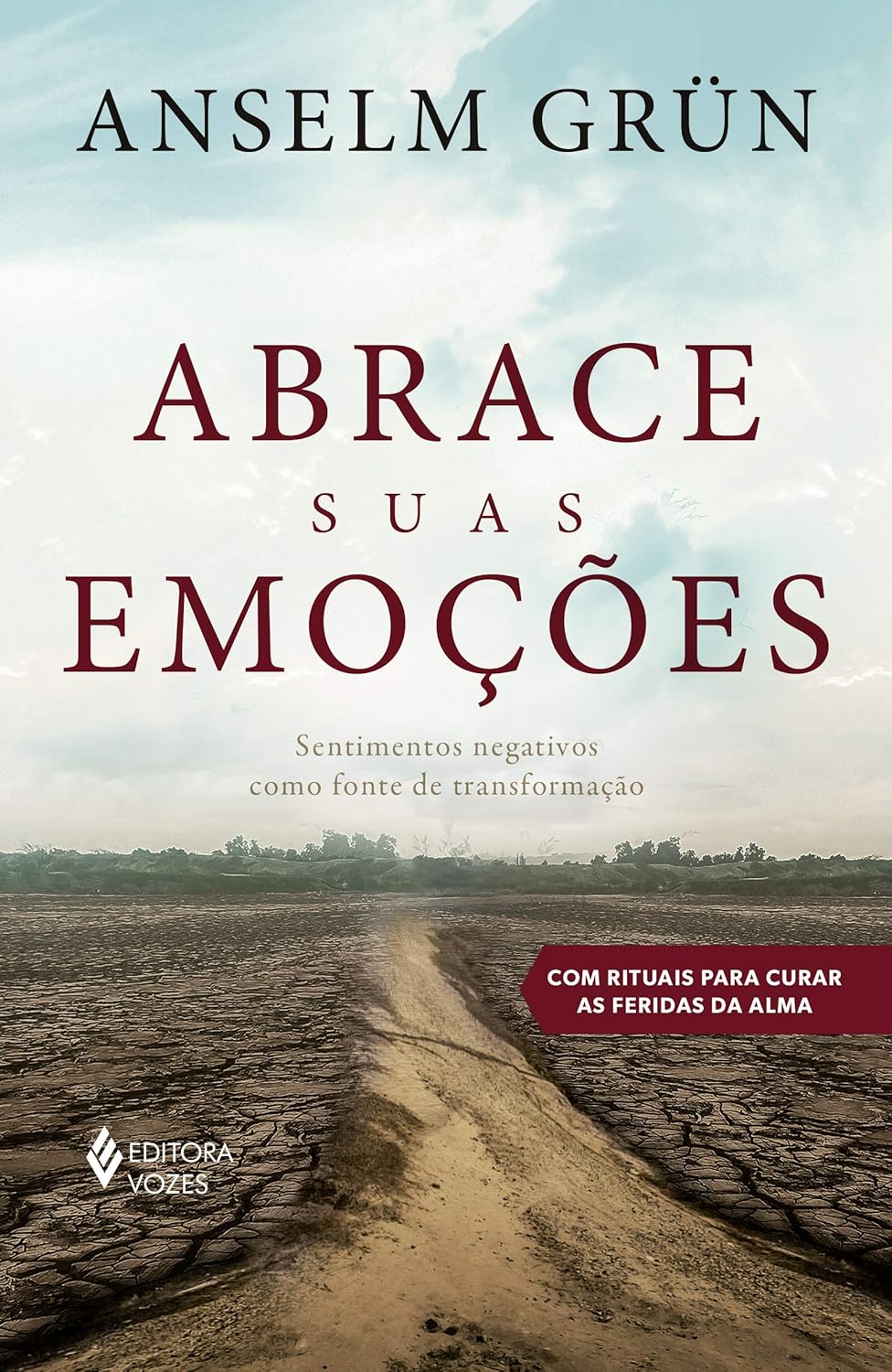 Livro Abrace suas emo&ccedil;&otilde;es: Sentimentos negativos como fonte de transforma&ccedil;&atilde;o do autor Anselm Gr&uuml;n